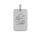 Pendentif Argent 925 Zodiaque Plaque GI Poisson