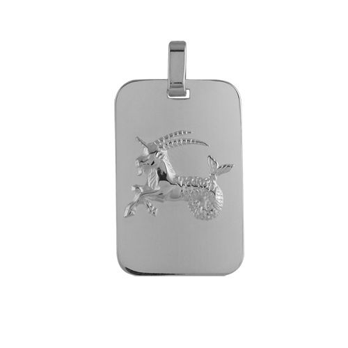 Pendentif Argent 925 Zodiaque Plaque GI Capricorne