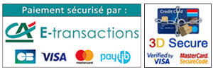 Logo E-transaction