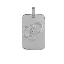 Pendentif Argent 925 Zodiaque Plaque GI Scorpion