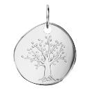 Les Pendentifs Argent 925