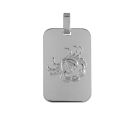 Pendentif Argent 925 Zodiaque Plaque GI Cancer