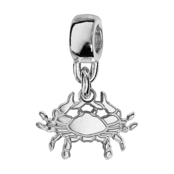 Charms Argent 925 Suspendu Cancer