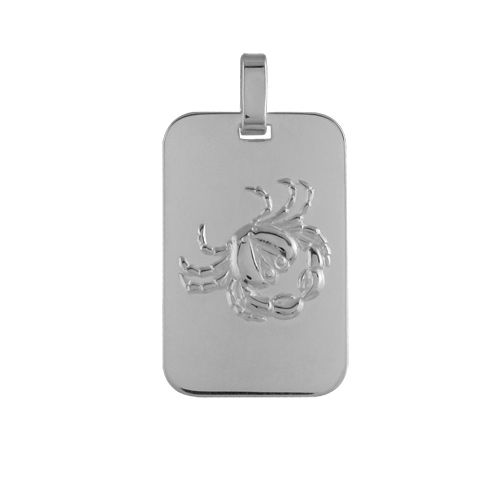 Pendentif Argent 925 Zodiaque Plaque GI Cancer