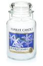 Yankee Candle Parfum Jasmin de Minuit