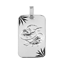 Pendentif Argent 925 Plaque Militaire Diamantée Zodiaque Poisson  