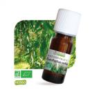 Huile Essentielle Bio Eucalyptus Radié 10 Ml