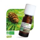 Huile Essentielle Bio Pin Sylvestre 10 Ml