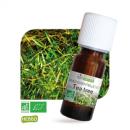 Huile Essentielle Bio Tee Trea (Arbre à Thé) 10 Ml