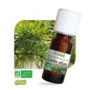 Huile Essentielle Bio Cèdre de l'Atlas 10 Ml