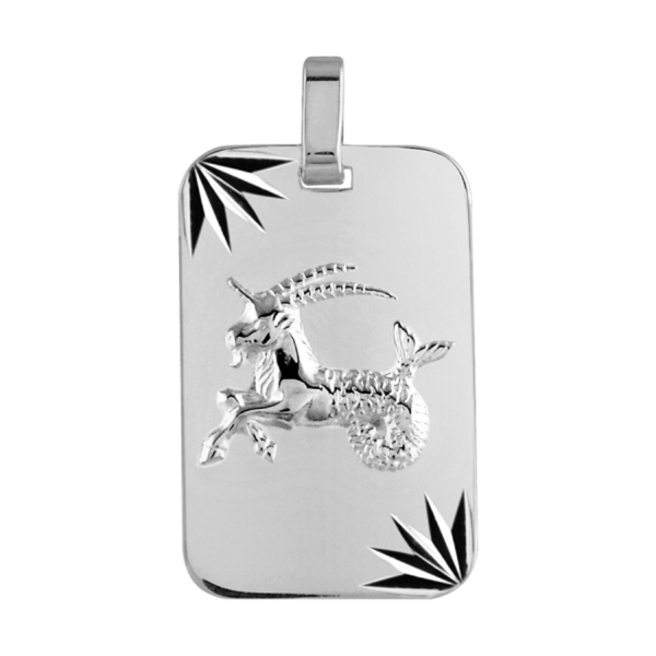 Pendentif Argent 925 Plaque Militaire Diamantée Zodiaque Capricorne