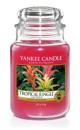Yankee Candle Parfum Jungle Tropicale