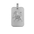 Pendentif Argent 925 Zodiaque Plaque GI Lion