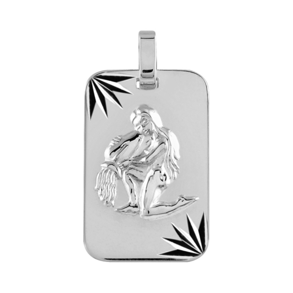 Pendentif Argent 925 Plaque Militaire Diamantée Zodiaque Verseau 