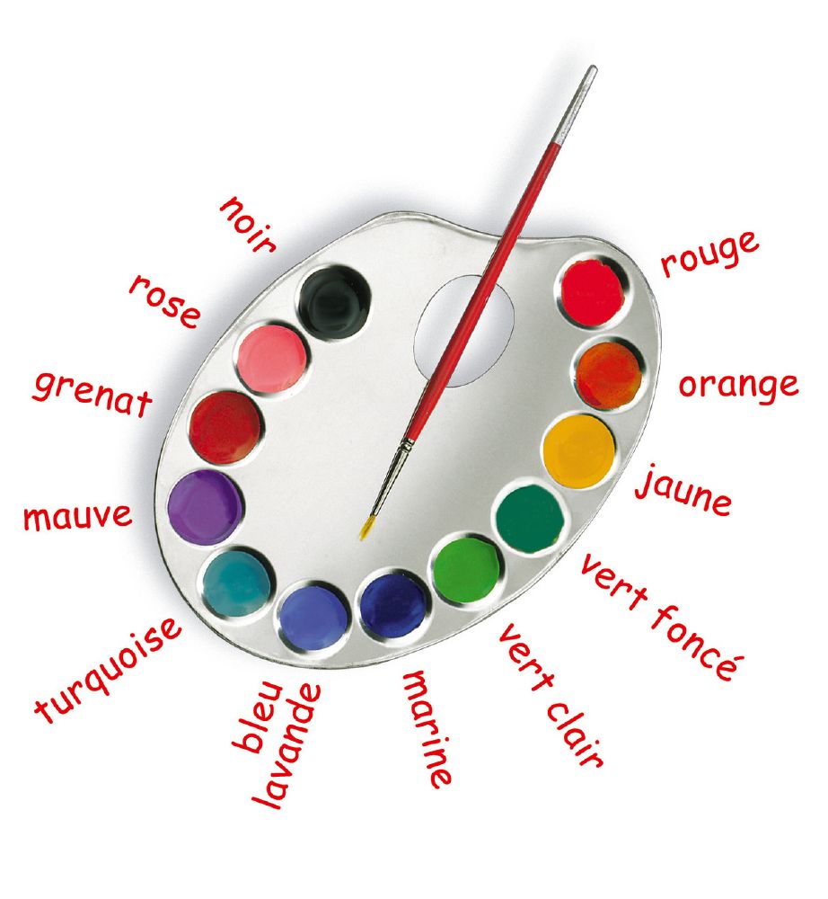 Couleur-Gravure-Gourmette-Argent Couleur-Gravure-Gourmette-Argent