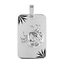 Pendentif Argent 925 Plaque Militaire Diamantée Zodiaque Cancer 