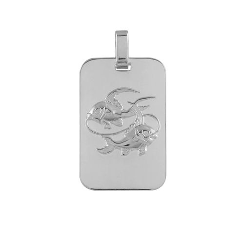 Pendentif Argent 925 Zodiaque Plaque GI Poisson