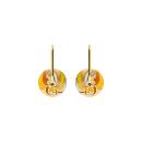 Boucles d'oreilles Tige Acier 316 L Doré Anneau Résine Orangé