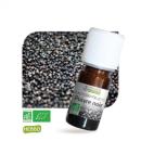 Huile Essentielle Bio Poivre Noir 10 Ml