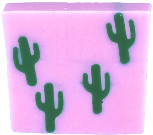 Savon Bomb Cosmetics Cactus Makes Perfect