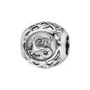 Charms Argent 925 Boule Zodiaque Capricorne 